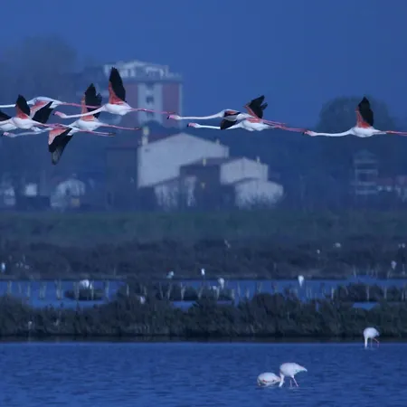 Corte Spina Landhuis *