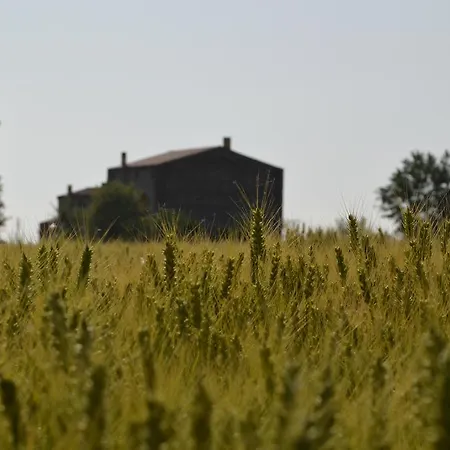 Country house Corte Spina Lido di Spina