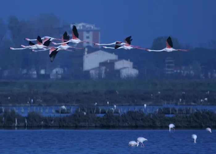 Corte Spina Летний дом *